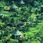 bagus_jati_resort_6